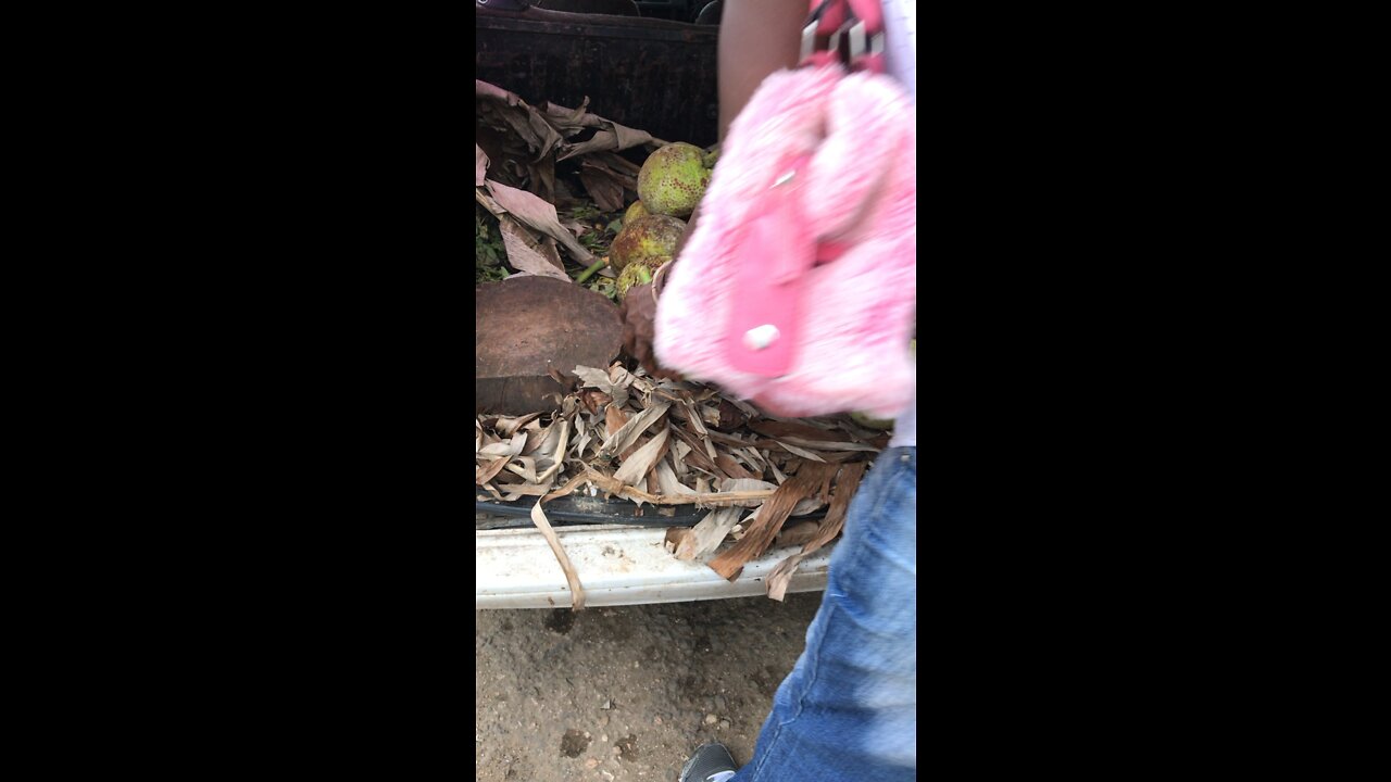 Mommy haggles in Jamaica!
