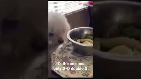 It's the one and only D-O double G #shorts