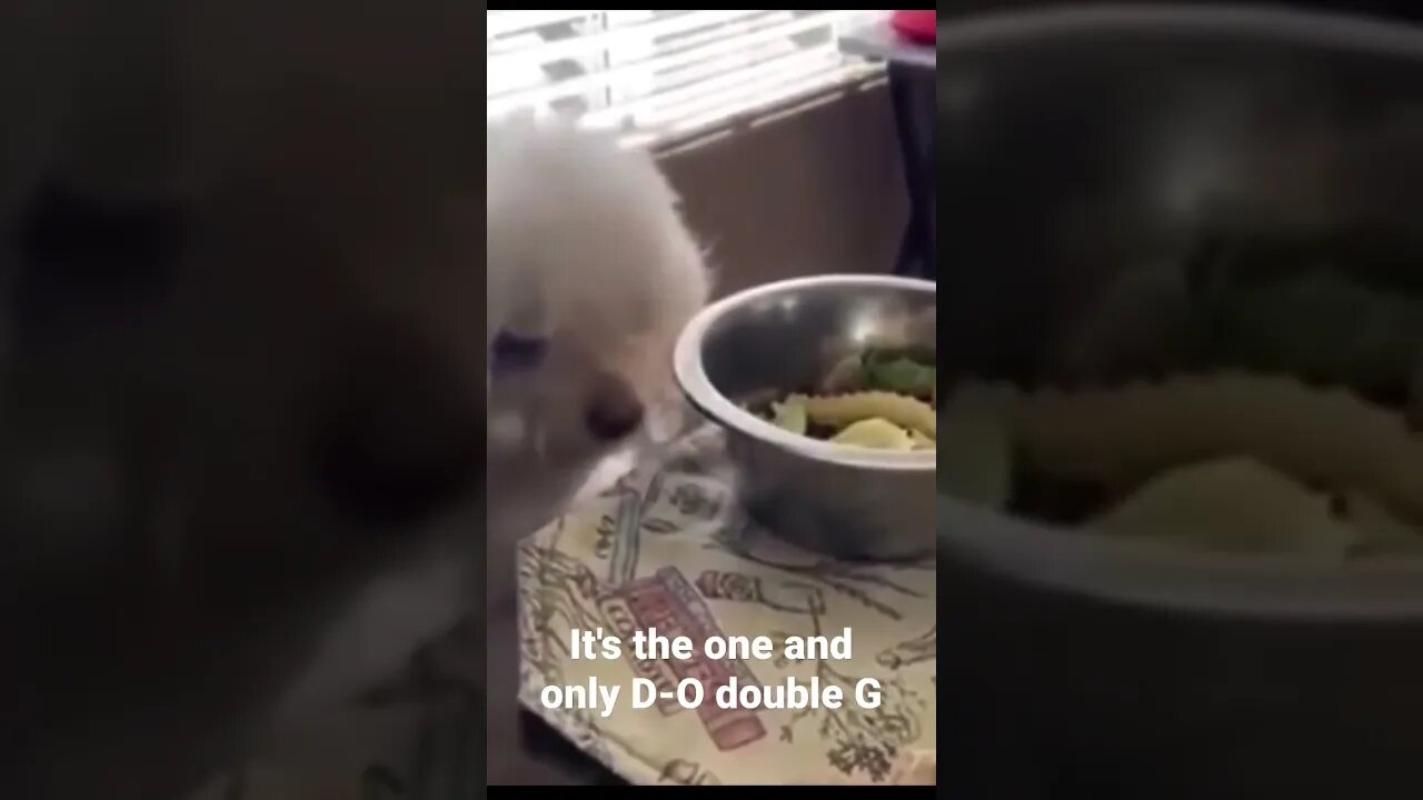 It's the one and only D-O double G #shorts