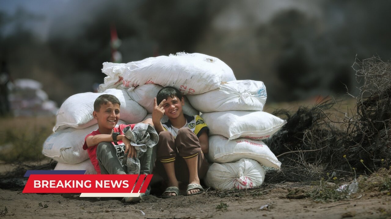 Qatar Humanitarian Aid to Gaza | A Closer Look