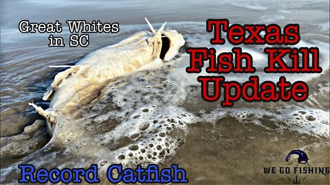 Texas Fish Kill Update l Record Catfish l Great Whites in SC - Fishing News of the Week - Ep: 3