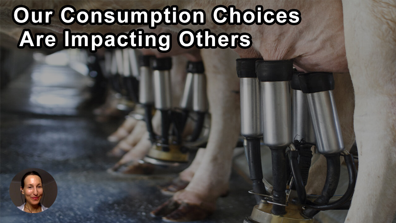 It's Important To Continue To Learn About The Ways That Your Consumption Choices Are Impacting Other