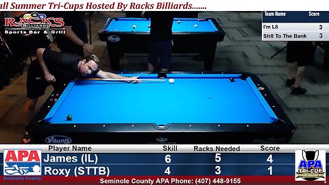 8-Ball APA Pool - Billiards Run Out - NO LOOK Finish