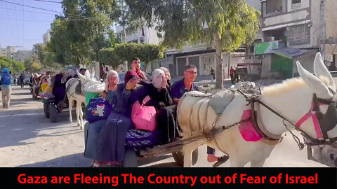 Gazans are fleeing the country out of fear of Israel