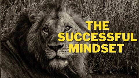 The successful mindset motivational video