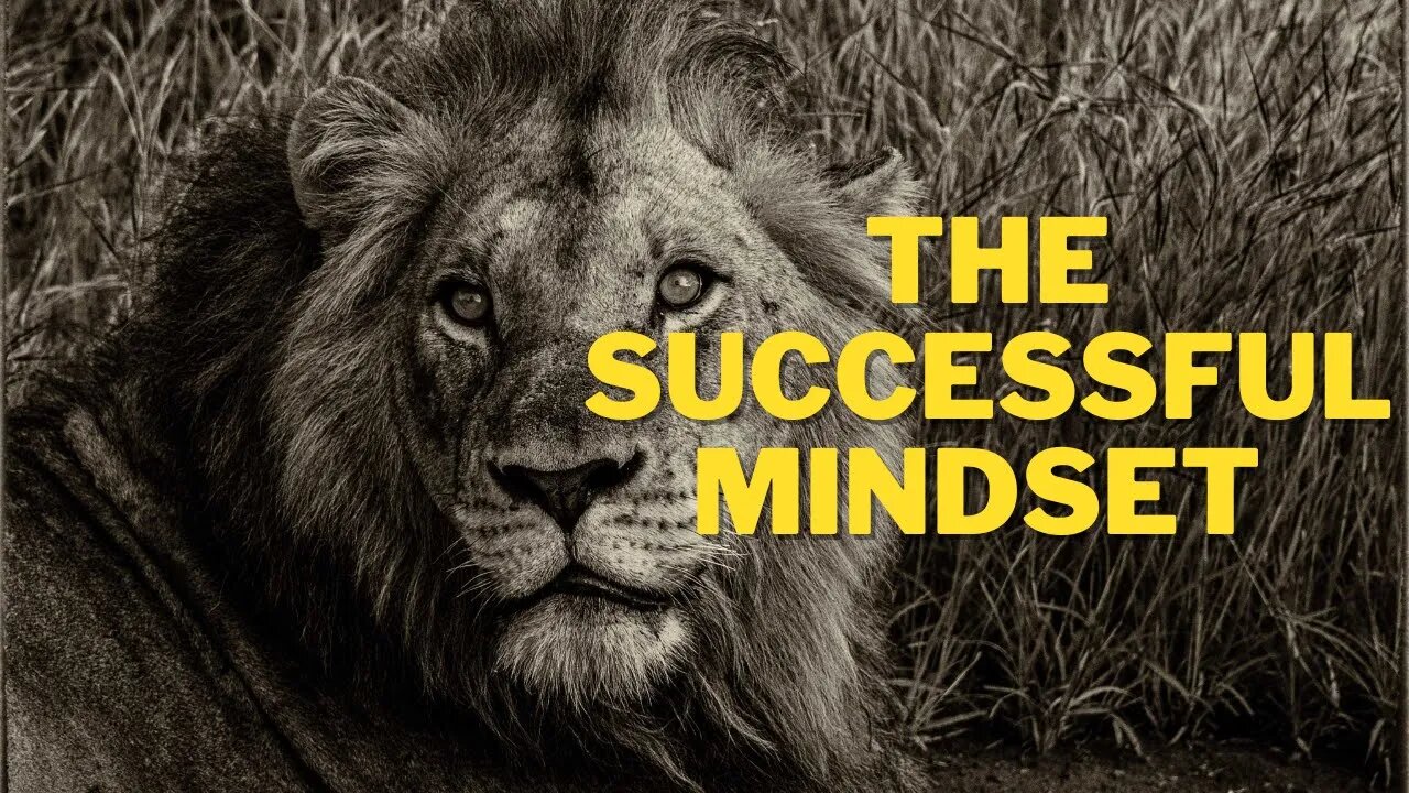 The successful mindset motivational video