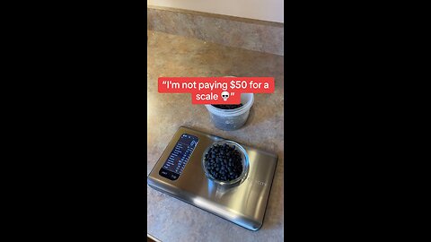 Our scale tracks everything