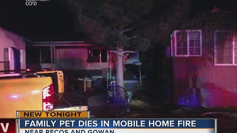 Pet dies in northeast Las Vegas mobile home fire