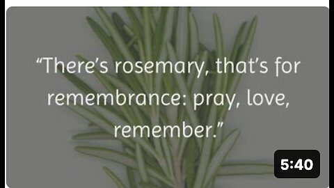 What is Rosemary Good For Rosemary Health Benefits