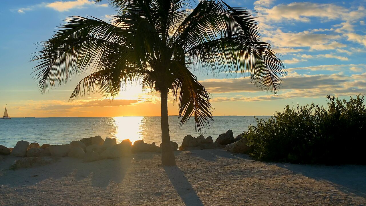 A day at the beach