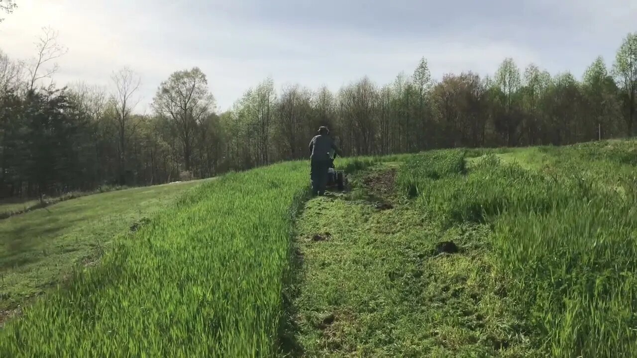 Flail mower shreds grass into mulch easily