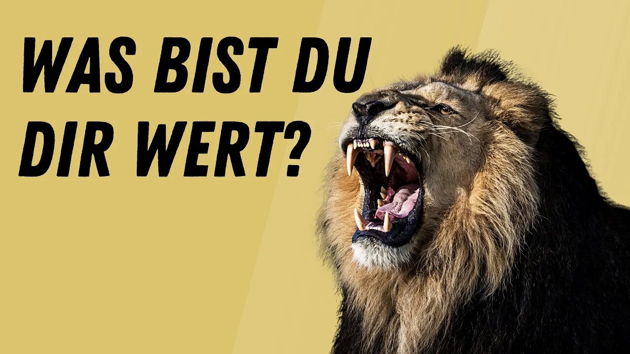 Was bist Du wert?