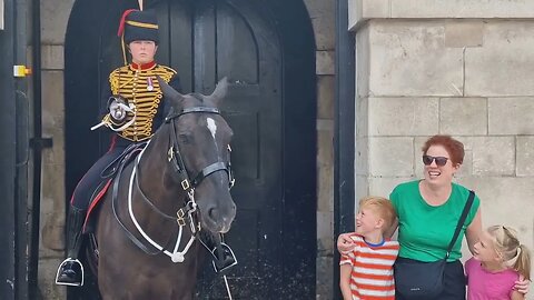 Horse kisses the boy #horseguardsparade