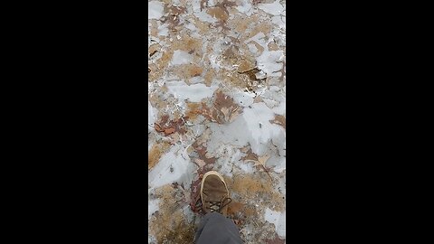 Frozen softball in field