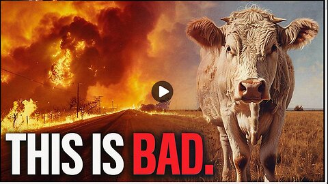 Coincidence? Mysterious Wildfires Destroy Texas Beef Industry