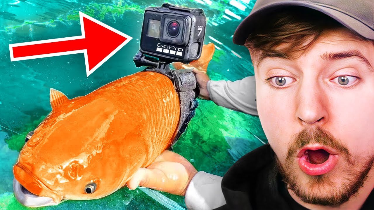 I Strapped A GoPro To A Fish! | Life hacks | Viral Life hacks | Mrbeast