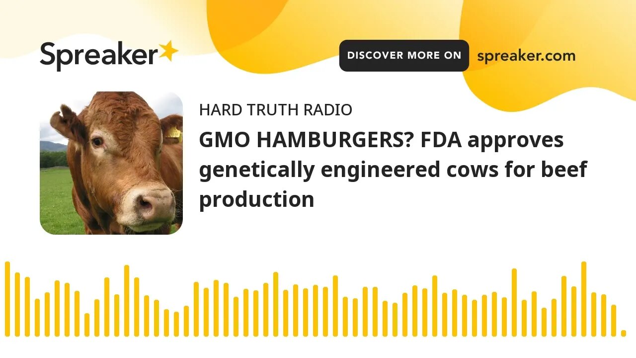 GMO HAMBURGERS? FDA approves genetically engineered cows for beef production