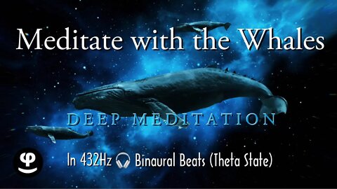 Meditate With Whales