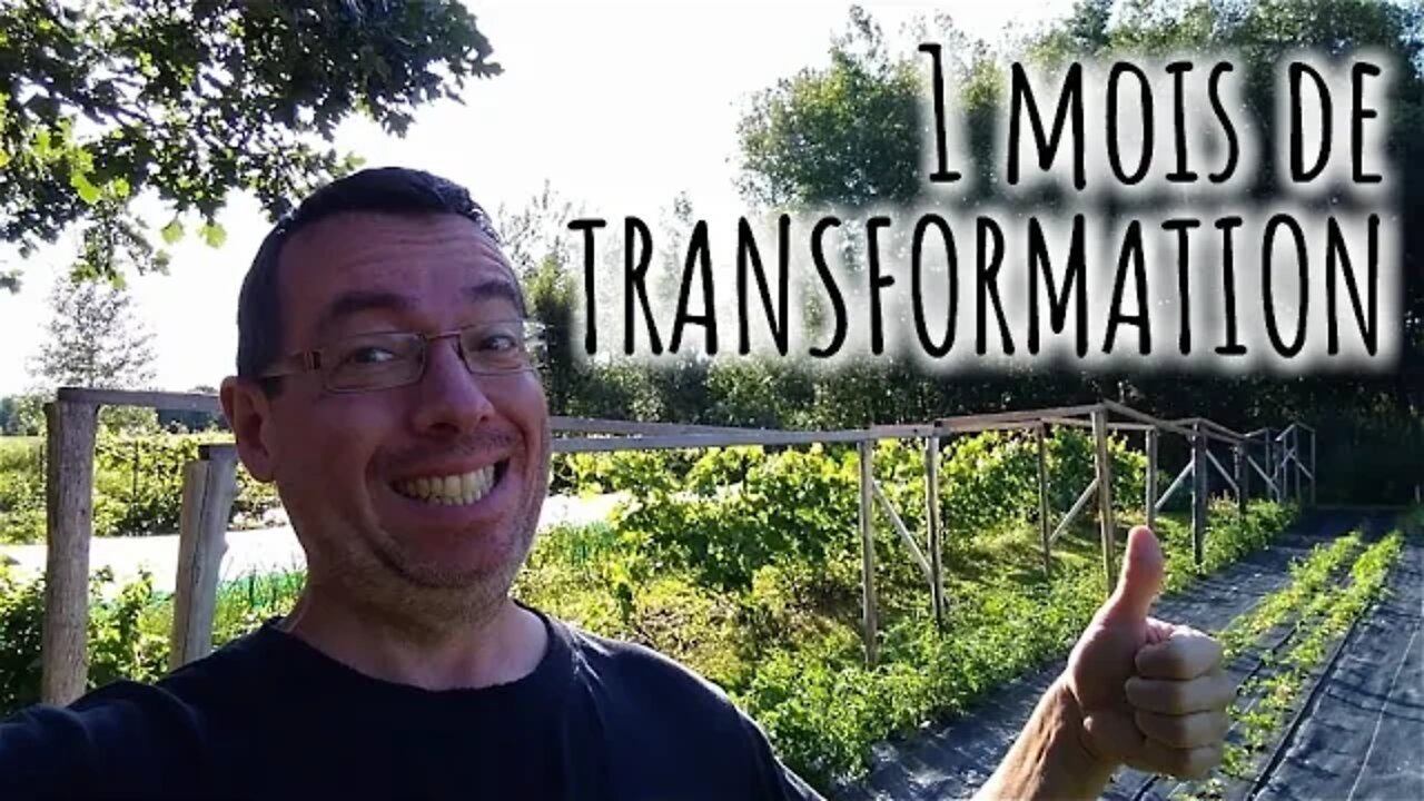 🍓 POTAGER 🍅 1 mois de TRANSFORMATION!! 🌱 #277