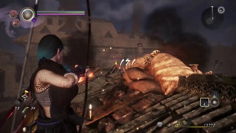 Road to Platinum: Nioh 2