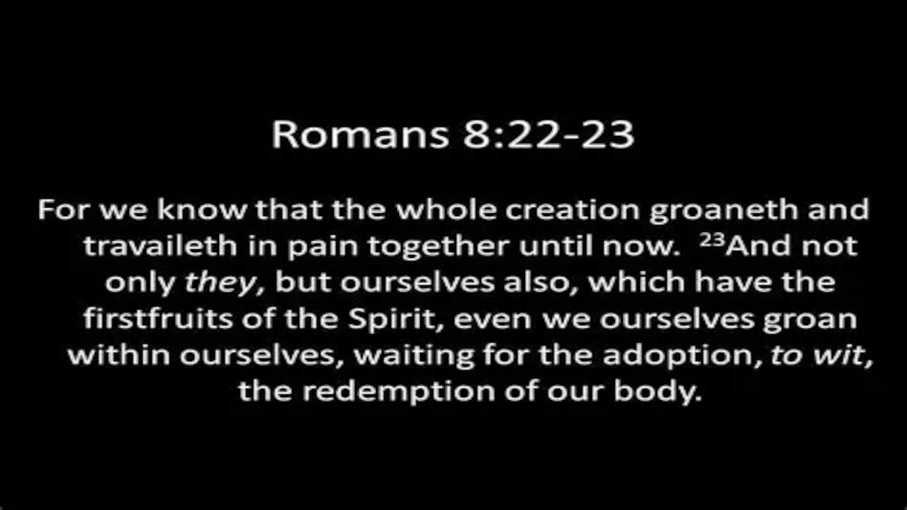 Memesplanation Romans 8:22-23