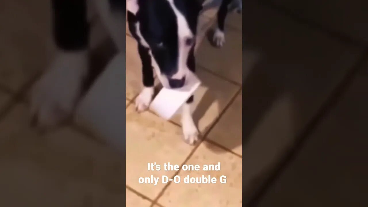 MEME IS the one and only D-O double G #shorts