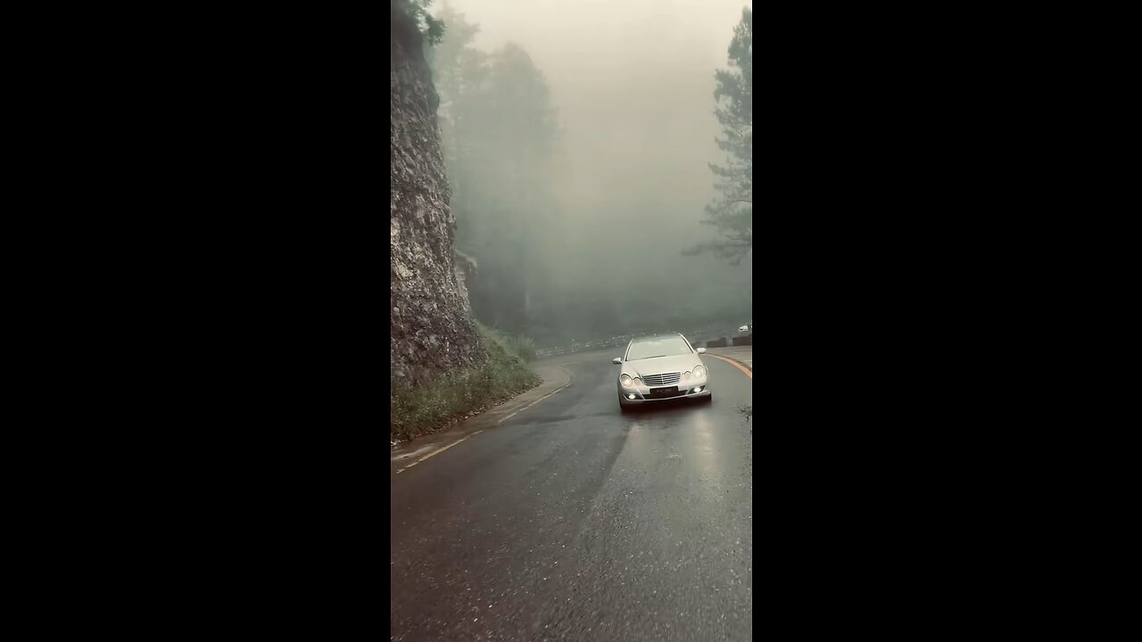 Car lover