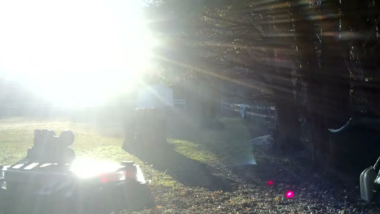 Natures strobe light