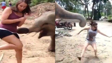 Animals funny Moments Enjoy😂🤣😆😎