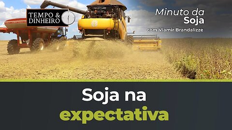 Soja na expectativa