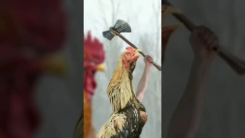 🤣🤣🤣🤣🤣
