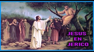 JESUS EN JERICO - CAPITULO 198 -VIDA DE JESUS Y MARIA POR ANA CATALINA EMMERICK