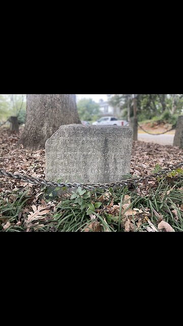 The Tree that owns itself. Athens GA