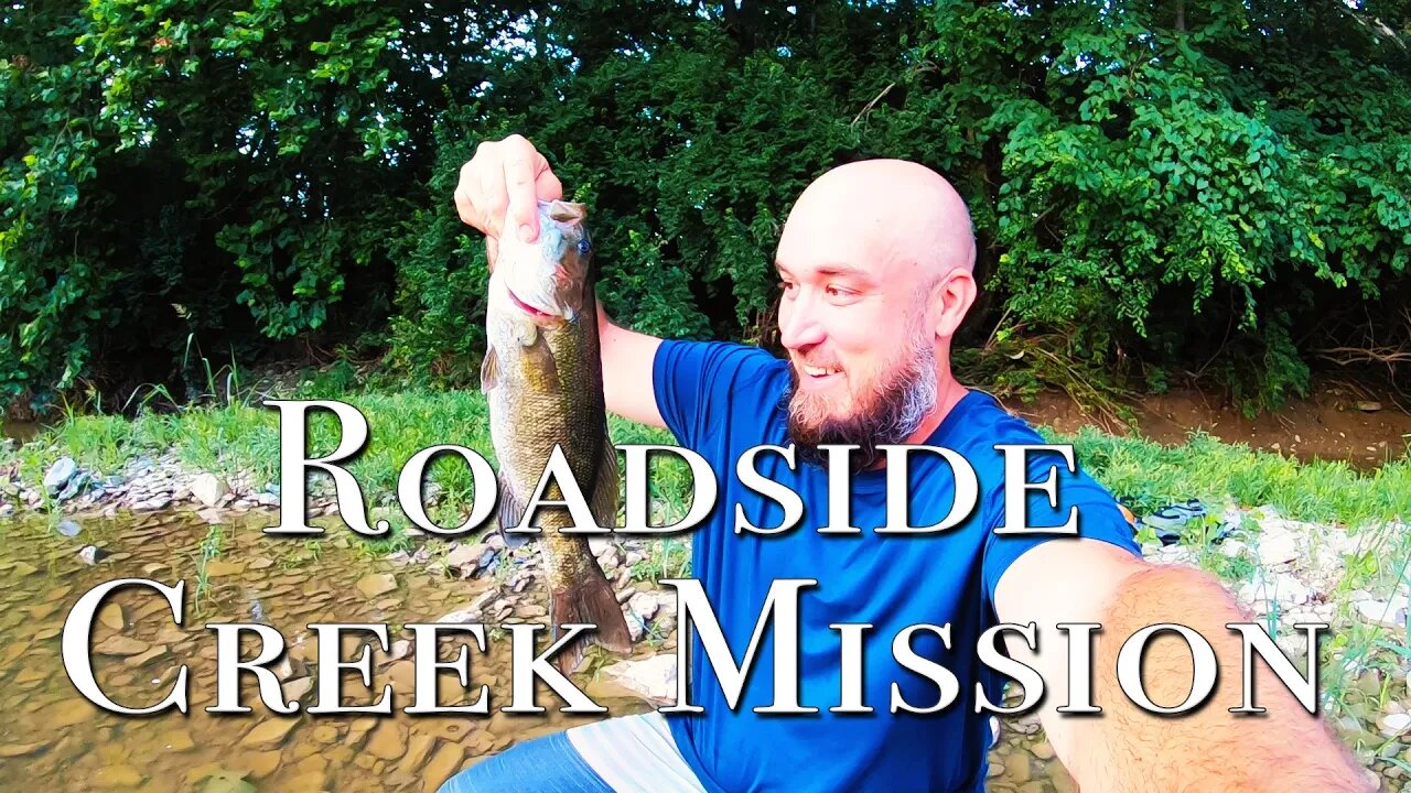 Roadside Creek Mission ( Surprise Wildlife! )