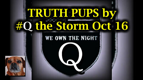 TRUTH PUPS by #Q the Storm Oct 16