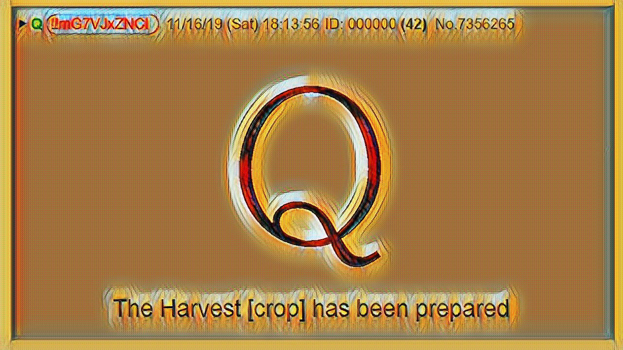 Q November 16, 2019 – The Harvest
