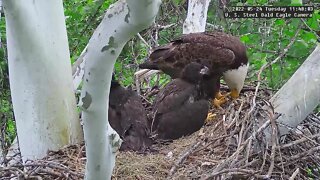 USS Eagles - USS 5 eats leftover frog leg