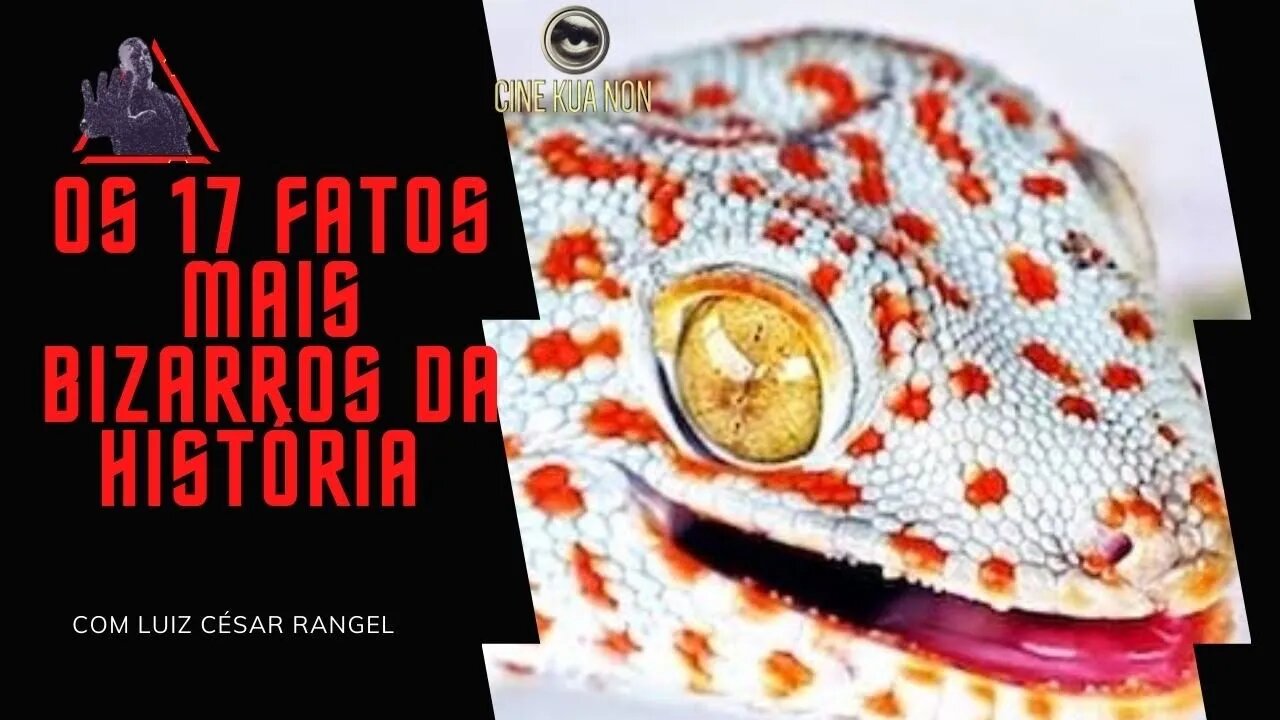 OS 17 FATOS MAIS BIZARROS DA HISTÓRIA