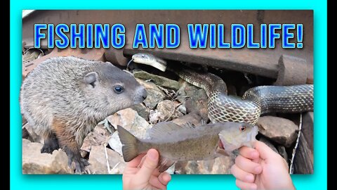 Fishing and WILDLIFE!... what could be better! (SNAKE ENCOUNTER!)