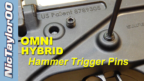 OMNI Hybrid Polymer Lower Hammer / Trigger Pins