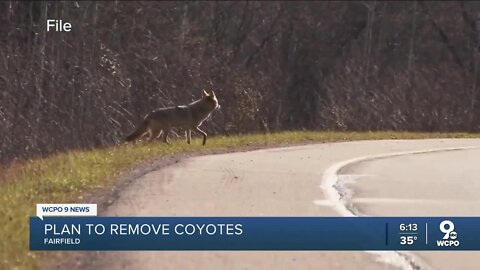 Fairfield finalizes plan to address coyote issue