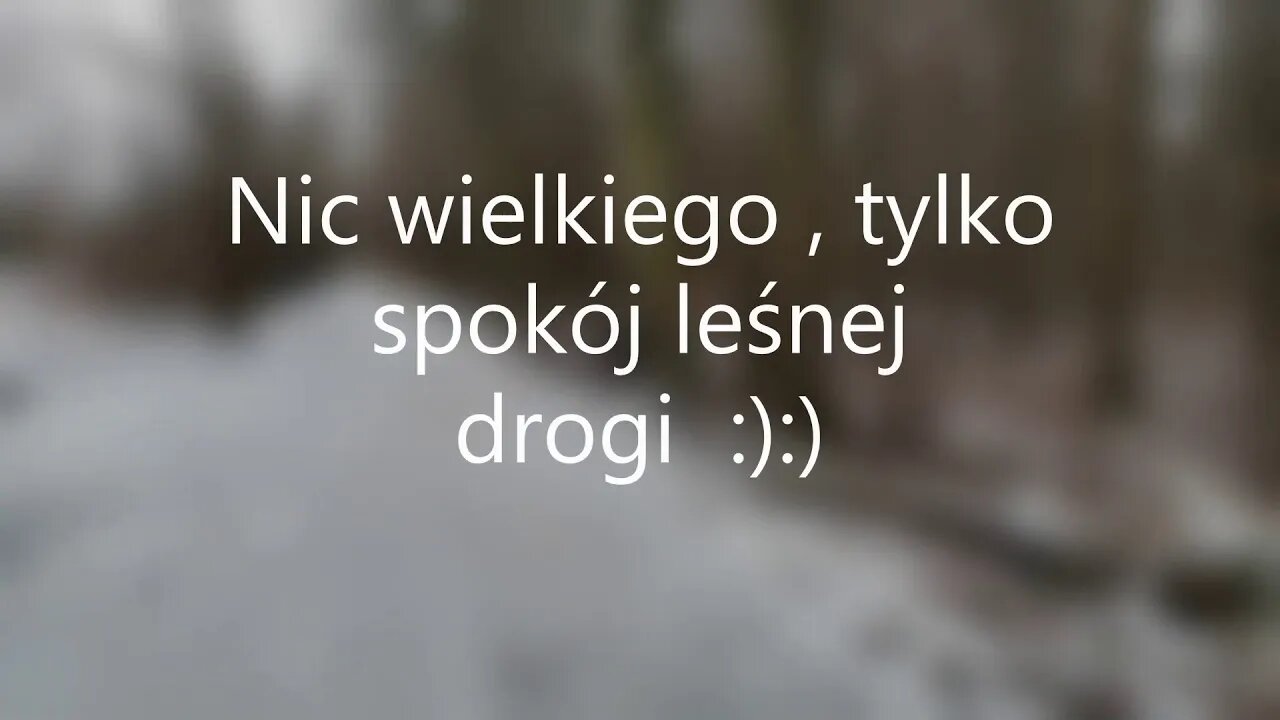 Nic wielkiego , tylko spokój leśnej drogi :):) Anna Budzik