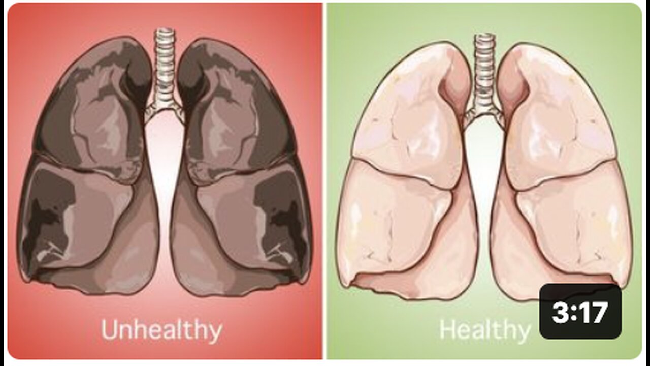 The Most Effective Foods to Cleanse your Lungs