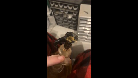 Day 61 pt2 Afro man is hilarious