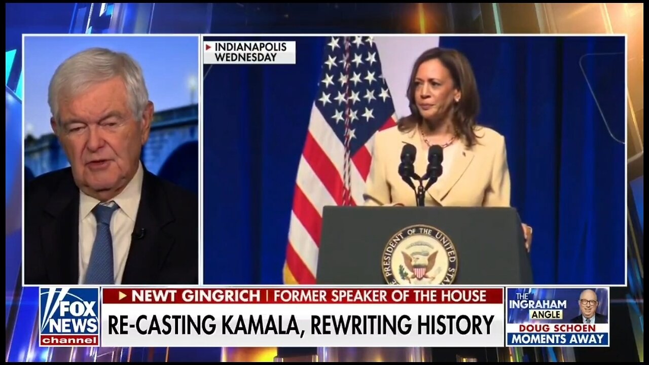 Newt Gingrich: Kamala Is Running The Country