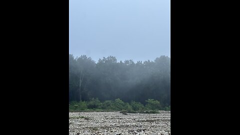 The mist of quiet forest…