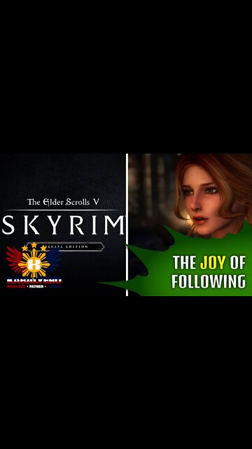 Modded Skyrim SE Gameplay [02/15/2022] #Shorts - FOLLOWING IRILETH