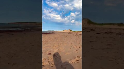 Canada day at the beach