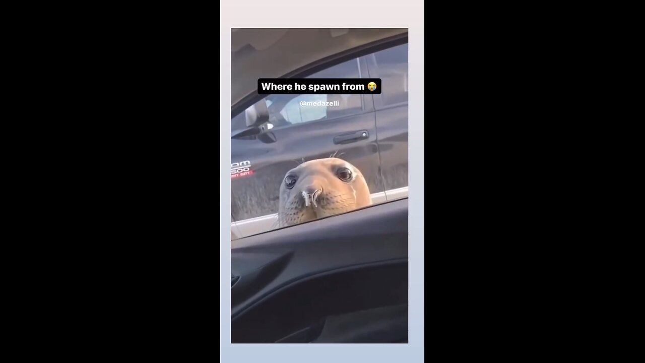 Funny
