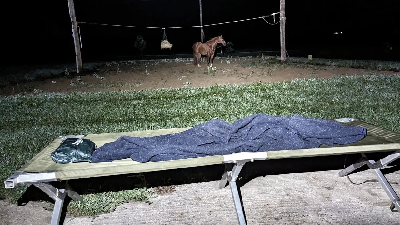 Sleeping Outside with muh Horse 😲